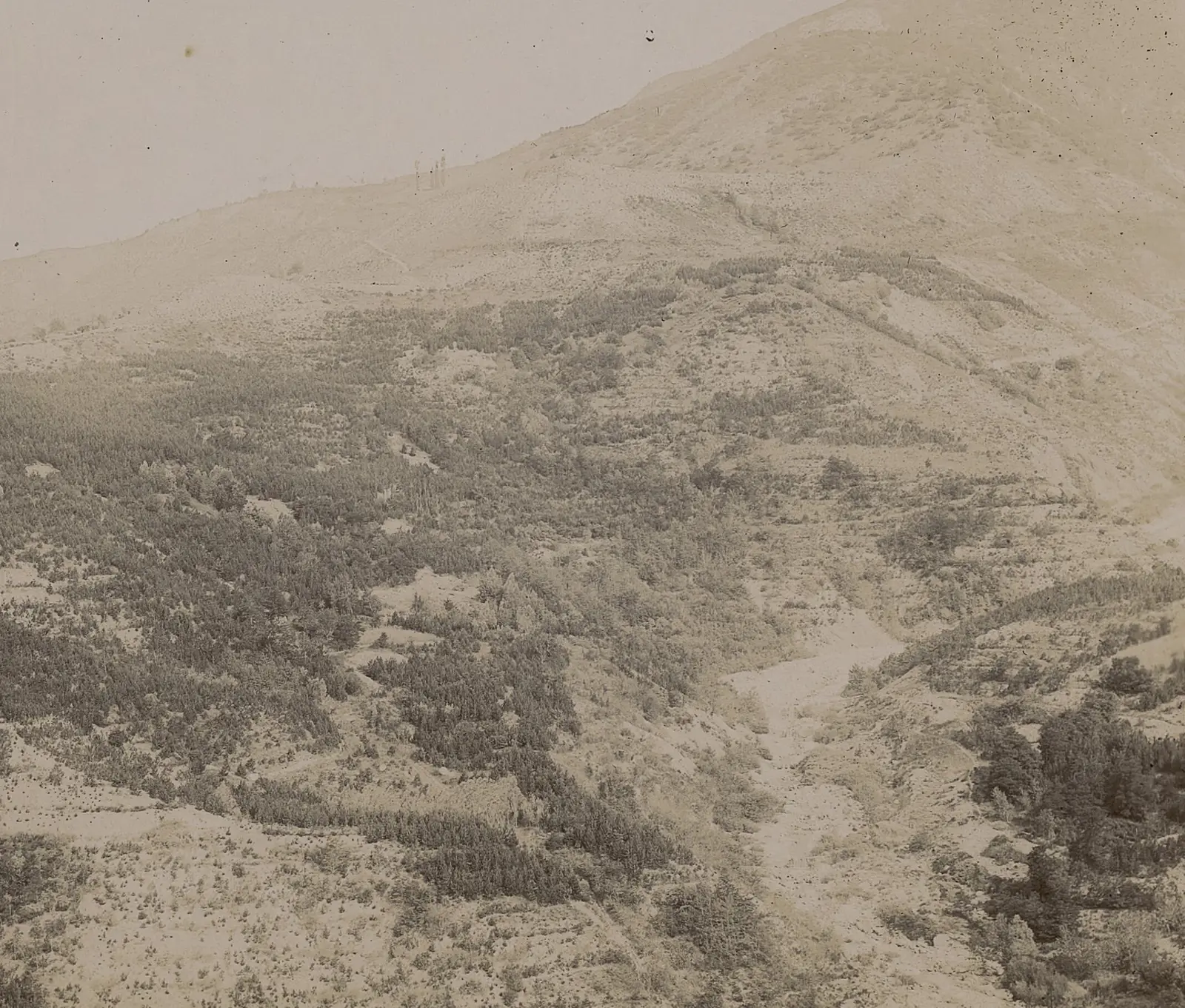 Photographie ancienne en noir et blanc : une pente de marnes en partie couverte de jeunes pins, et le lit clair d’un torrent en contrebas.